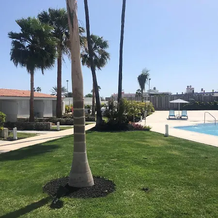Relaxia Girasoles بلايا ديل إنغلز